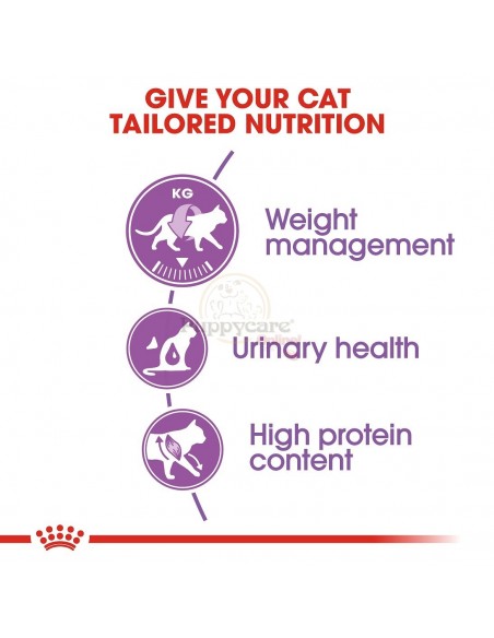 Royal Canin FHN Sterilised Alimento Seco Gato