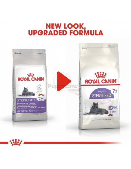 Royal Canin FHN Sterilised 7+ Alimento Seco Gato